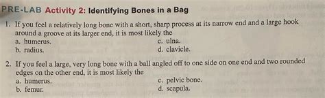 Solved Pre Lab Activity Identifying Bones In A Bag If You Feel