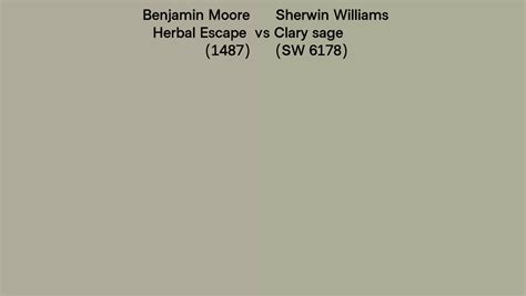 Benjamin Moore Herbal Escape 1487 Vs Sherwin Williams Clary Sage Sw