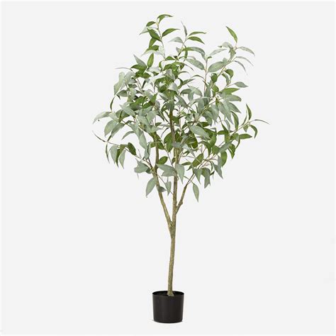 Kunstplant Eucalyptus Cm Mooie Kunstplanten Floraworks