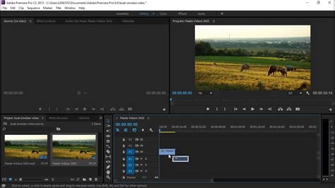 Cara Memisahkan Video Dan Audio Di Premiere Pro Youtube