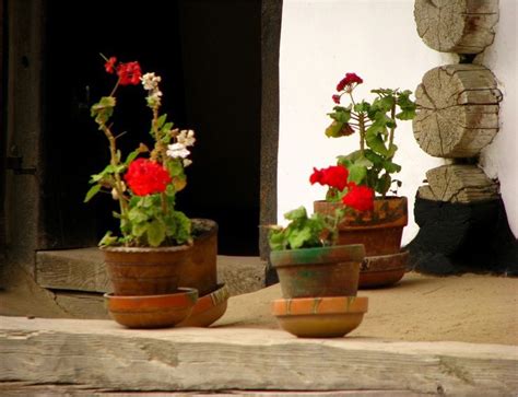 The Memorial Museum Ion Creanga from Humulesti – Neamt County