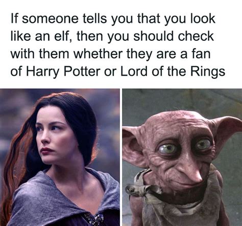 50 Of The Funniest Memes For Everyone Who Is Still Obsessed With Harry Potter Bored Panda