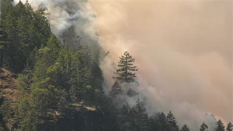 Vancouver Island Wildfire Threatens Highway Near Port Alberni Ctv News