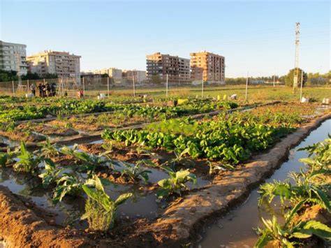 La Junta de Gobierno Local de València aprueba contratar las obras de