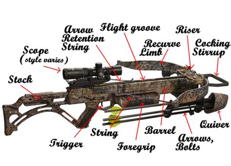 Excalibur Crossbow Parts Diagram