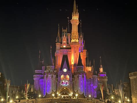 PHOTOS: 40th Anniversary Pumpkins, Tinker Bell in a Witch Costume, and ...