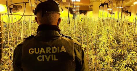 La operación Savari Green Small de la Guardia Civil desarticula siete