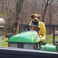 HELP..briggs & stratton popping or backfiring through the carburetor ...