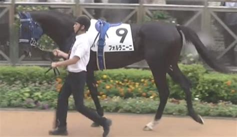 東スポ杯2歳ステークス2023予想・本命はシュトラウス 競馬で生活する僕は