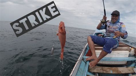 Strike Bertubi Tubi Gagal Dapat Lumba Lumba Dapatnya Ikan Merah Oren