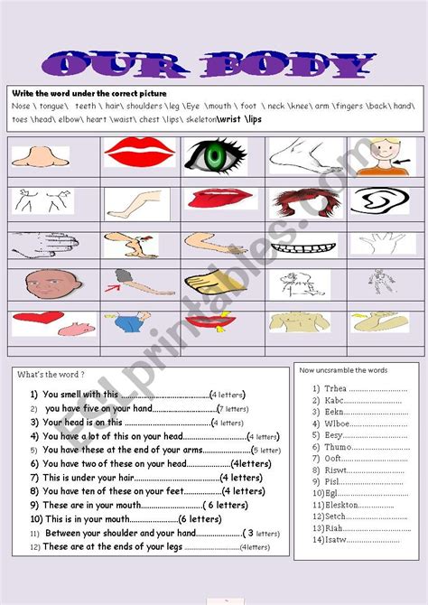 Our Body Esl Worksheet By Primpi