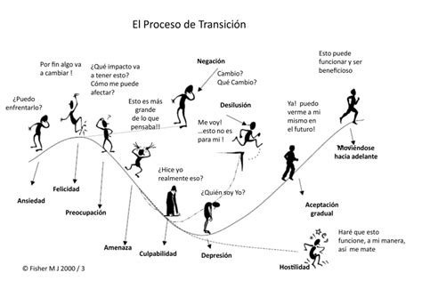 Transiciones Cómo Prepararse Y Disfrutar Del Proceso Por Daniel Colombo