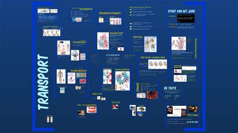 Transport Bloedsomloop By Wietske Logtenberg On Prezi