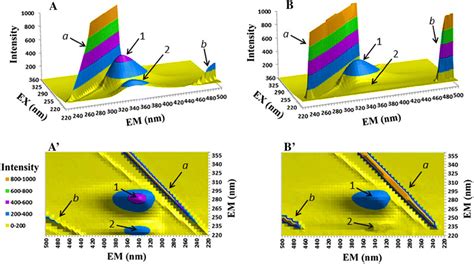 Three Dimensional Fluorescence Spectra And Corresponding Contour