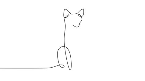 Cute Cat Doodle Stock Footage Royalty Free Stock Videos Pond