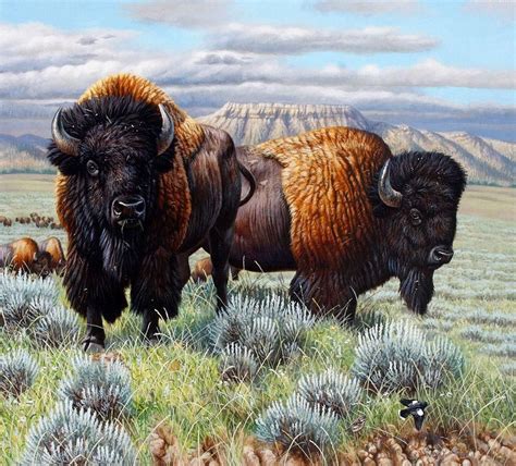 Montana Wildlife Artists Return Of A Monarchbison18 X 20 North