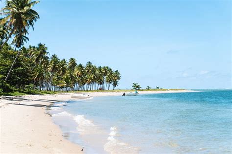 Praia Dos Carneiros Como Chegar O Que Fazer E Muito Mais