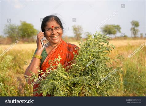 Happy Indian Woman Farmer Her Wheat Stock Photo 1687629013 | Shutterstock