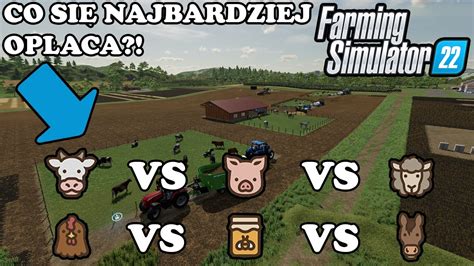 Farming Simulator Kt Re Ze Zwierz T Jest Najbardziej Dochodowe