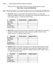 Lab 4 Organic Molecules Lab Docx Name Lab 4 Organic Molecules