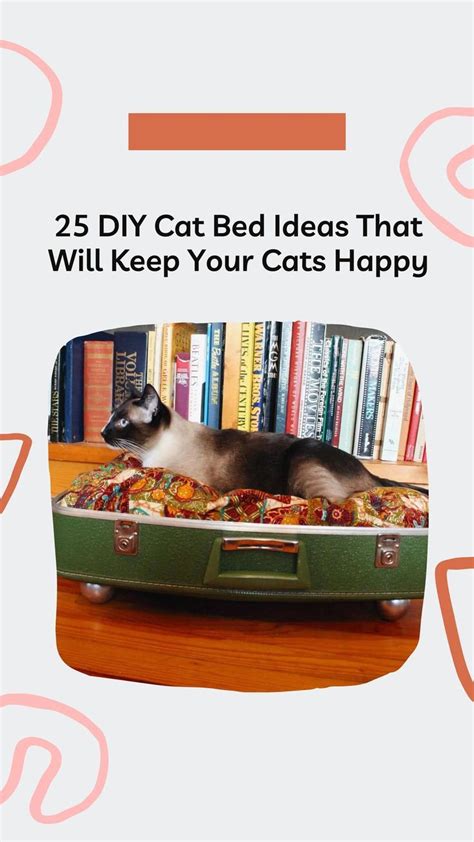 25 Diy Cat Bed Ideas That Will Keep Your Cats Happy