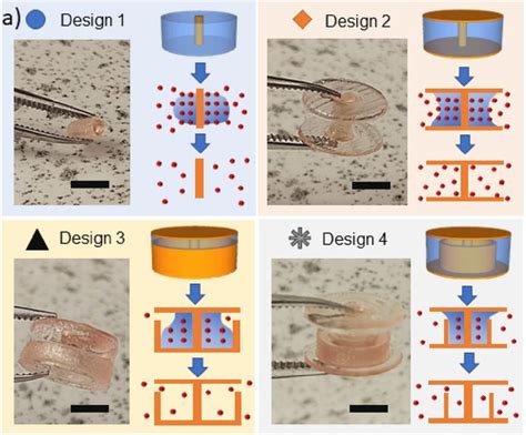 Advances In D Printed Drugs Personalized Treatment And Controlled