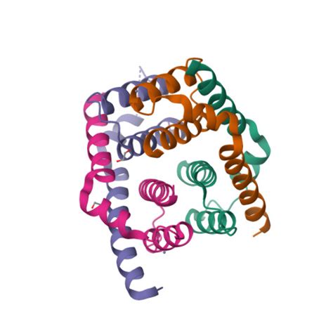 Rcsb Pdb 8spe Crystal Structure Of Bax Core Domain Bh3 Groove Dimer