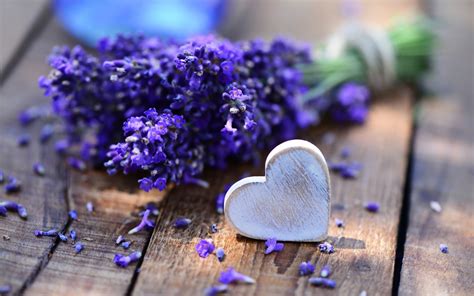 Lavender Wallpaper HD - WallpaperSafari