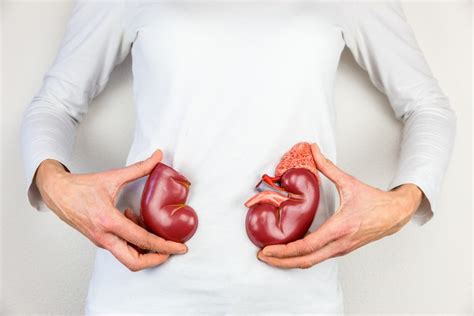 Kidney Infection Symptoms: 11 Signs Everyone Should Know | The Healthy