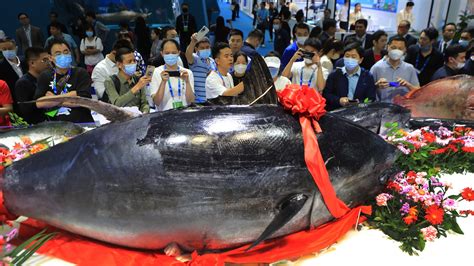 Expo Showcases Seafood From Around The World EYESHENZHEN