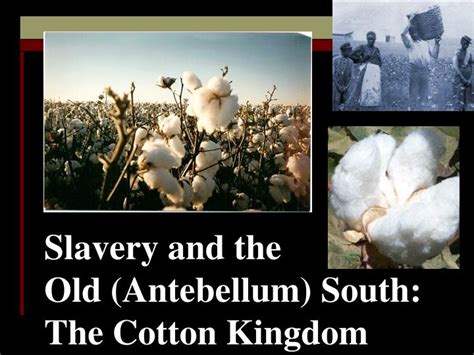 Ppt Slavery And The Old Antebellum South The Cotton Kingdom Powerpoint Presentation Id 234459