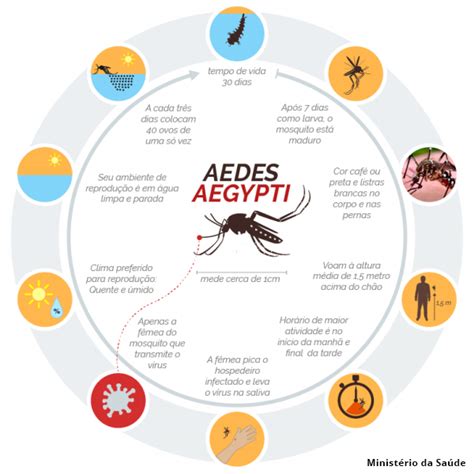 Saúde Pública Combate ao Aedes Aegypti prevenção e controle da