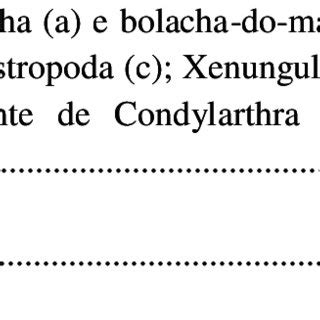 Estudantes Do 6 Ano No Laborat Rio De Ci Ncias Da Escola Estadual De