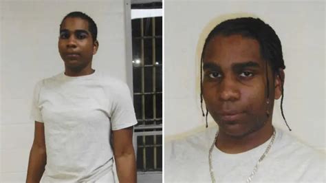 Demi Minor 5 Facts Regarding Trans Inmate Who Impregnated Two Women At New Jersey Jail Ghlinks