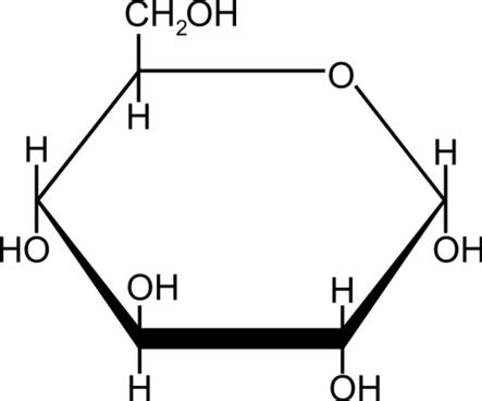 Structure of glucose molecule Free vector for free download about (3 ...