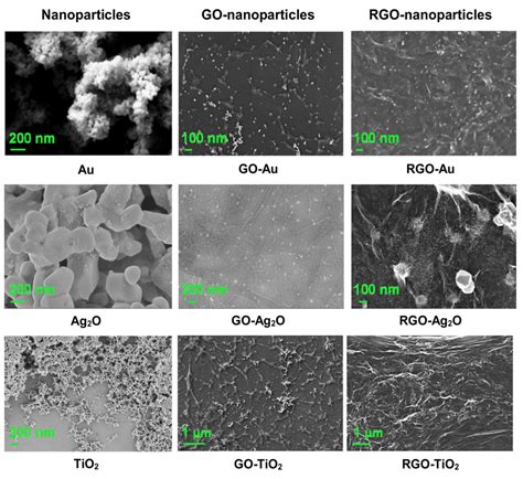 Sem Images Of Nano Au Nano Ag O And Nano Tio Particles And Their