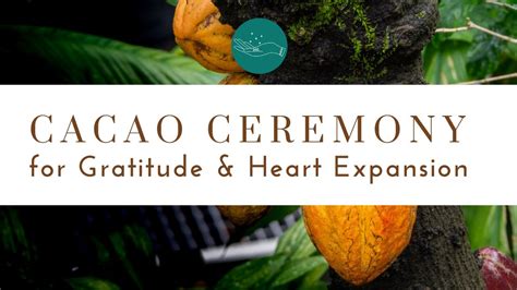 Cacao Ceremony Meditation Guided Cacao Ritual Sacred Cacao Medicine