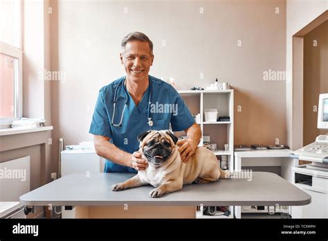 My Best Patient Cheerful Middle Aged Male Vet In Work Uniform Holding