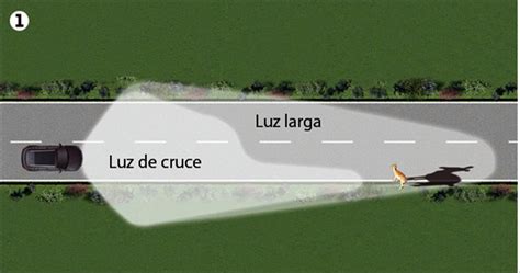 Las Carreteras De Extremadura Abusador De Luces Largas