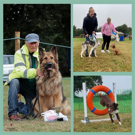Events Ferne Animal Sanctuary
