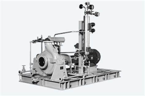 Overhung End Suction Pumps Ebara Pumps Americas Corp