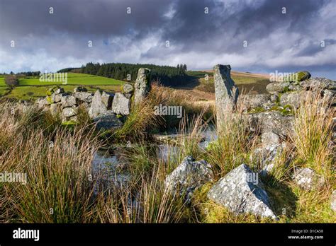 Valley Of The West Dart River Near Two Bridges In The Dartmoor National