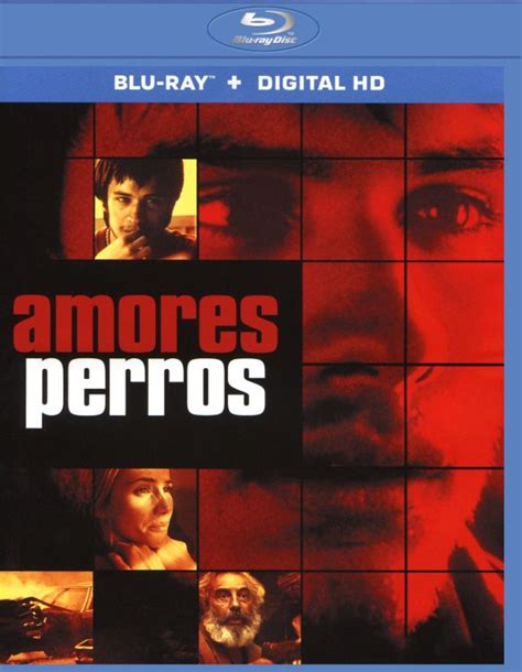 Amores Perros 2000 Alejandro González Iñárritu Synopsis