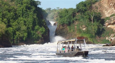 Top 4 Activities To Enjoy On Safari In Murchison Falls Park