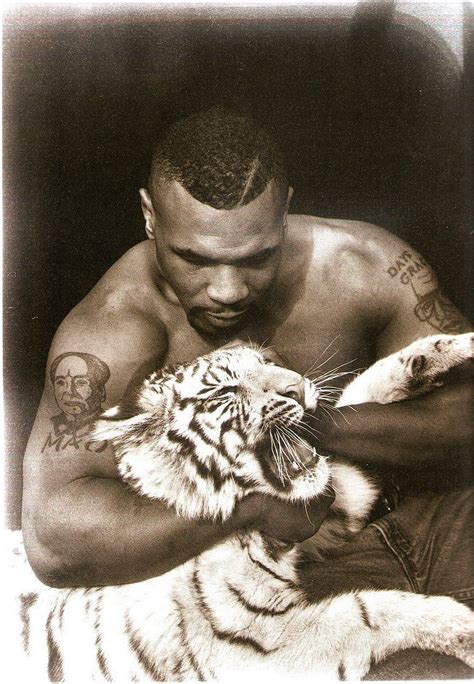 Mike Tyson Tiger Wallpapers Wallpapershigh