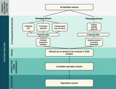 WGS Analysis Process Including Genotype Driven And Phenotype Driven