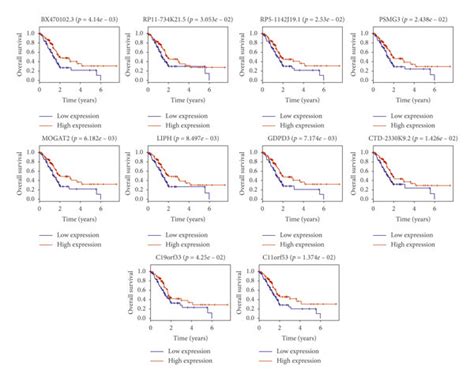 Kaplan Meier Survival Curves For Overall Survival Outcomes According To