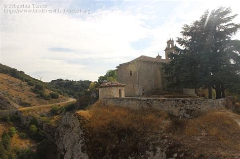 Santuario De Santa Casilda Salinillas De Bureba Burgos 74210