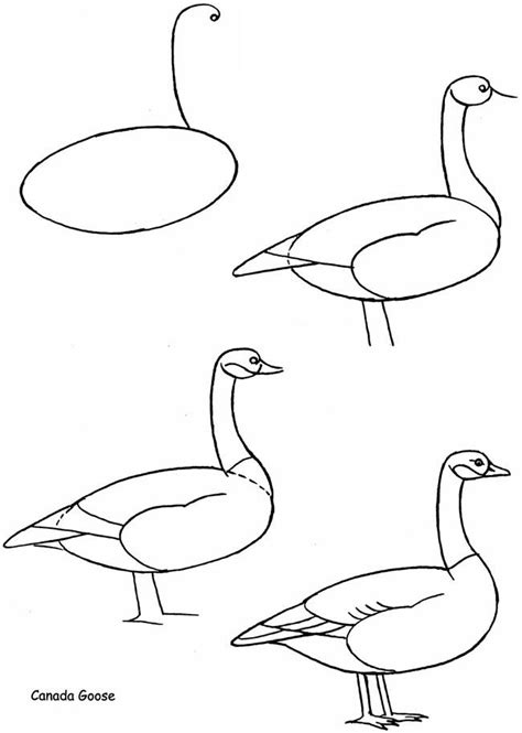 How To Draw A Goose