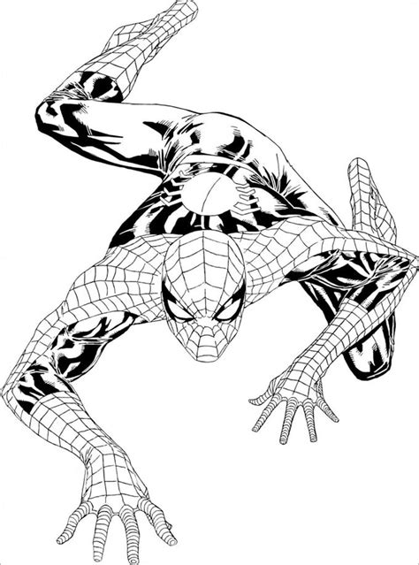 Spiderman Colouring Pages Printable Colouring Pages Free